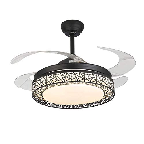 Carbon Elegance Ceiling Fan