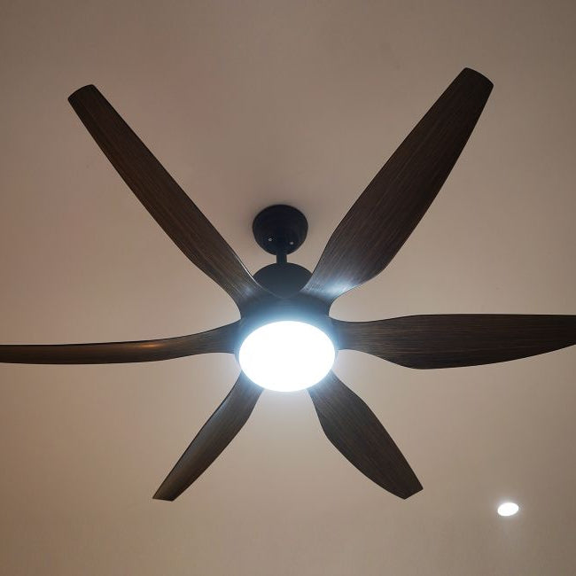 6-Blade Premium Decorative Fan