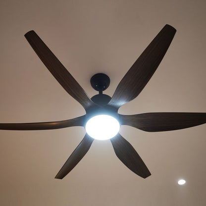 6-Blade Premium Decorative Fan